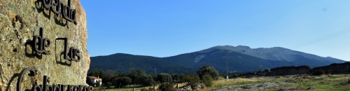 Revenga
