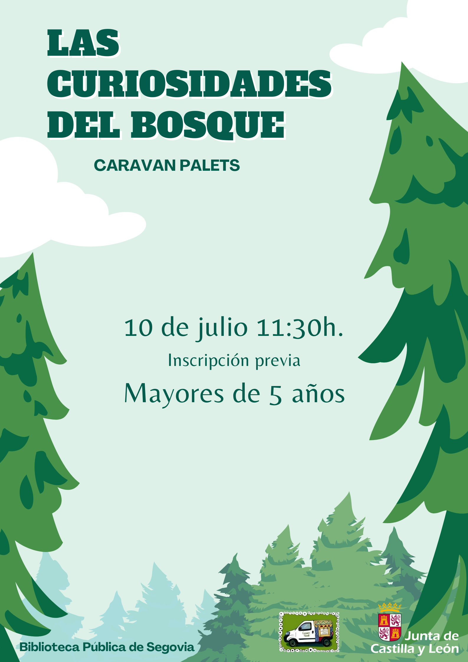 las-curiosidades-del-bosque