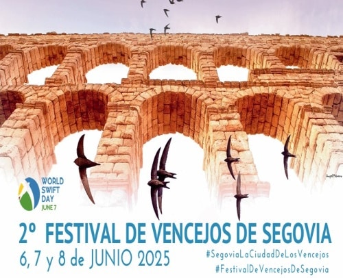 vencejos